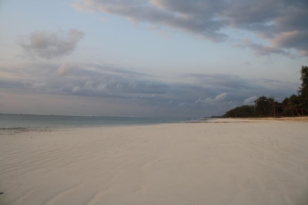 Diani Marine Divers Village Diani Beach Bagian luar foto